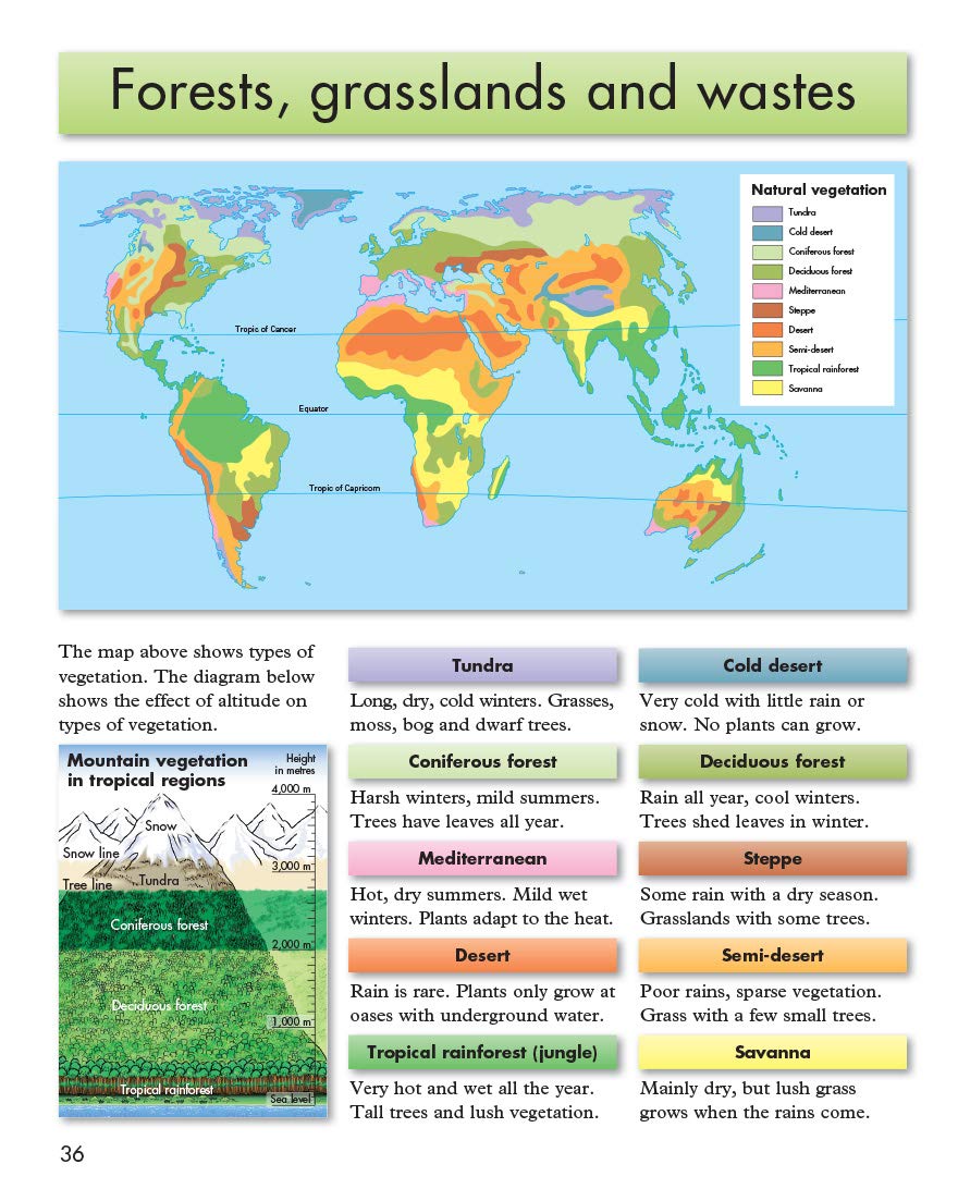 Philip's Junior School Atlas 11th Edition - Image 8