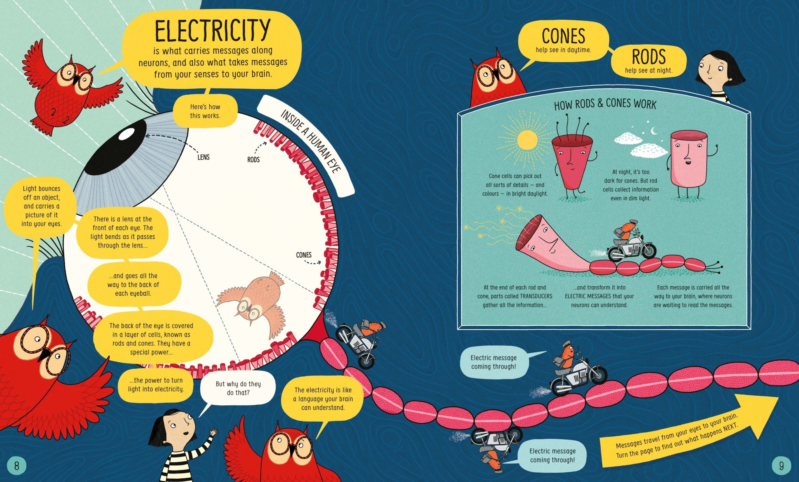 Usborne Book of the Brain and How it Works - Image 8