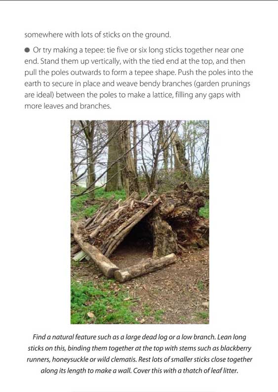 The Stick Book : Loads of things you can make or do with a stick - Image 4