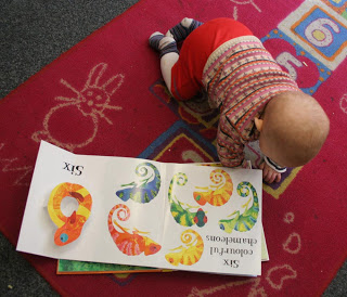 Animal Counting - Image 3