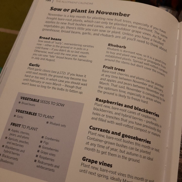 Allotment Month by Month - Image 8