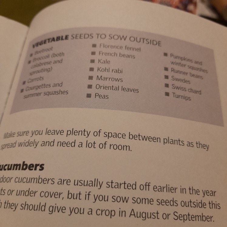 Allotment Month by Month - Image 5