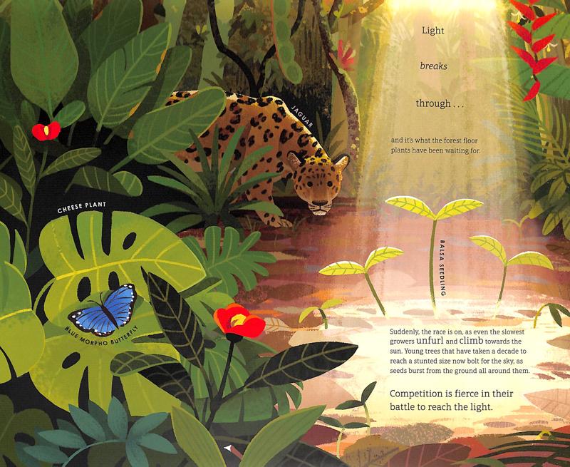 The Green Planet - Image 6