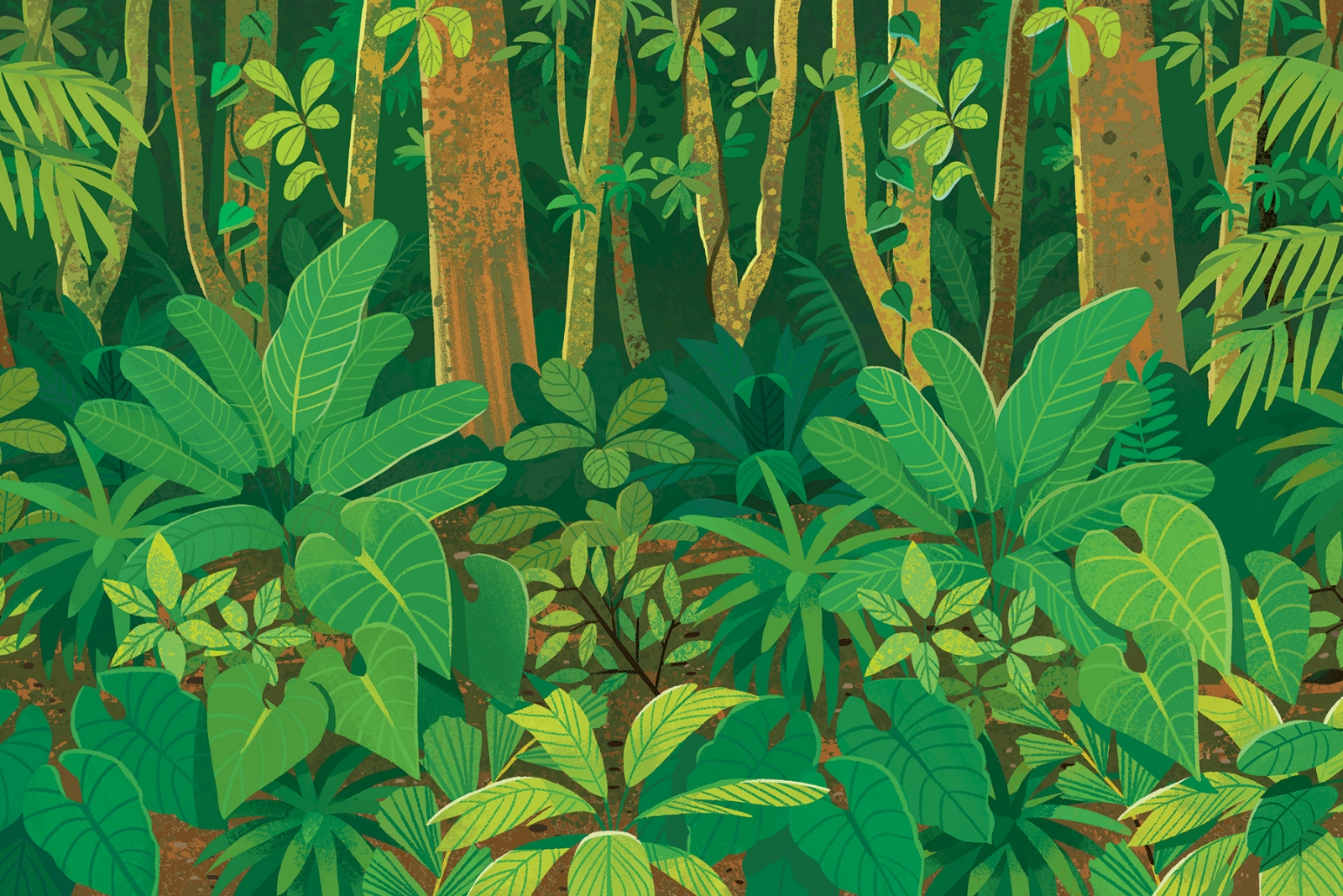 The Green Planet - Image 7