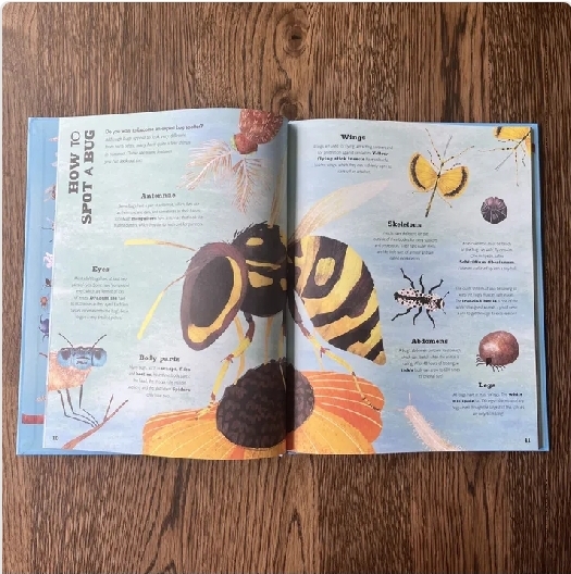 A Bug's World (PB) - Image 3