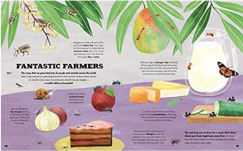 A Bug's World (PB) - Image 7