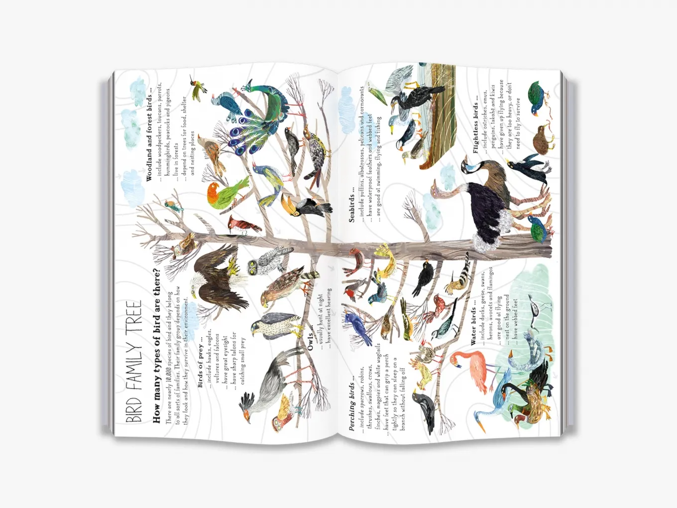 The Big Book of Birds - Image 4