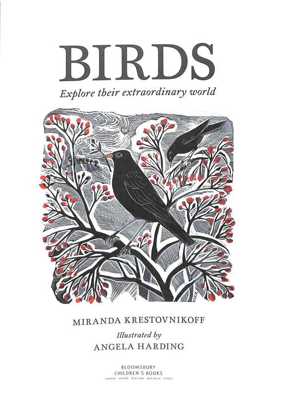 RSPB Birds: Explore their Extraordinary World - Image 5