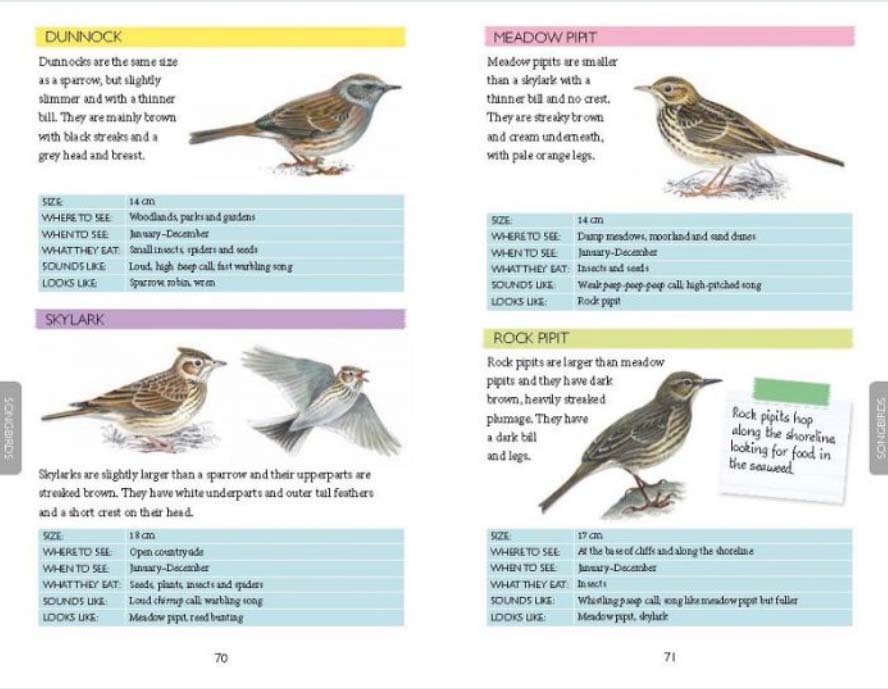 National Trust: Out and About Bird Spotter : A children?s guide to over 100 different birds - Image 2
