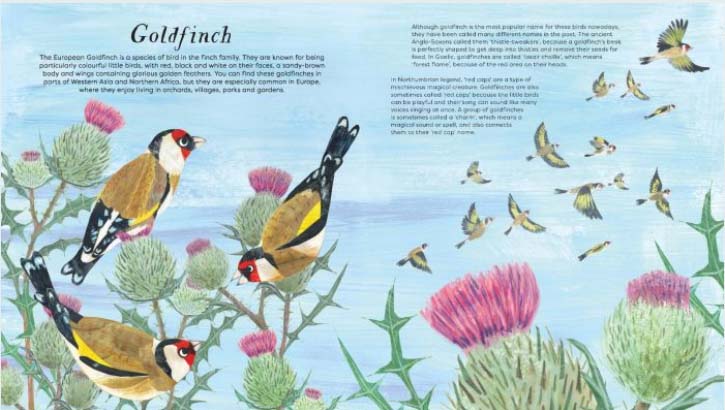 National Trust: Birds of a Feather: Press out and learn about 10 beautiful birds - Image 2