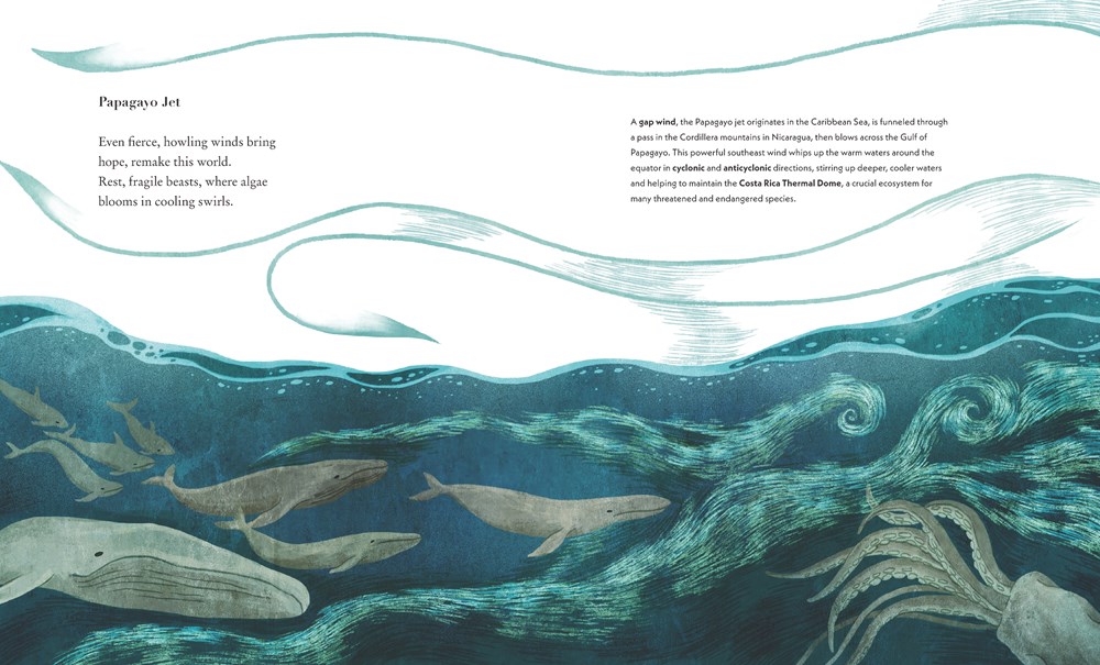 Great Gusts: Winds of the World and the Science Behind Them - Image 5