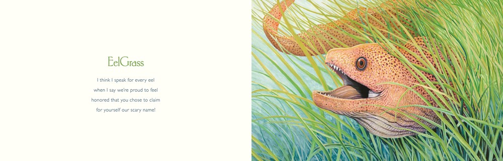 You Stole My Name Too : A Curious Case of Animals and Plants with Shared Names (Picture Book) - Image 6