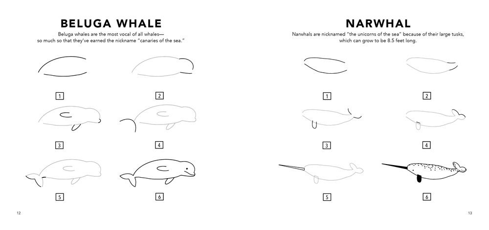 Under the Sea: How to Draw Books for Kids with Dolphins, Mermaids, and Ocean Animals (Mini) - Image 3