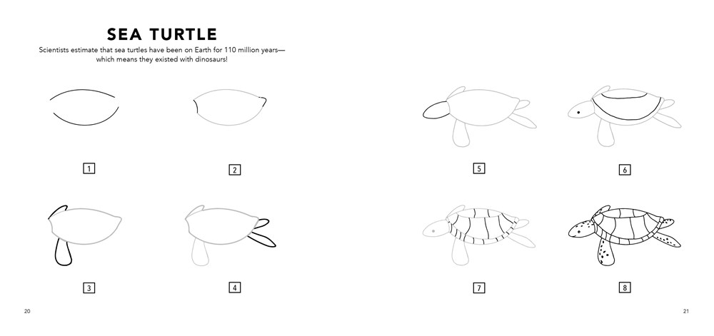 Under the Sea: How to Draw Books for Kids with Dolphins, Mermaids, and Ocean Animals (Mini) - Image 4
